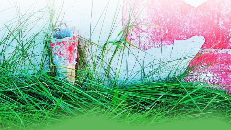 Green grass and pink and grey wall