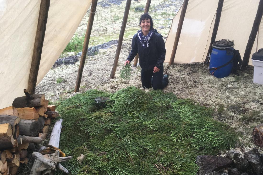 Woman placing spruce boughs inside teepee