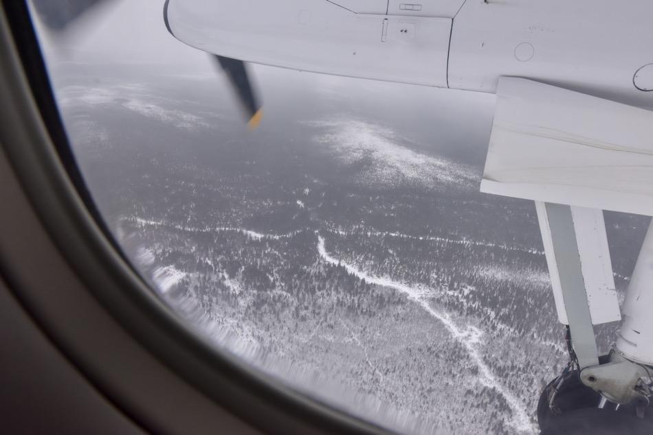View of the forest from Air Creebec plane