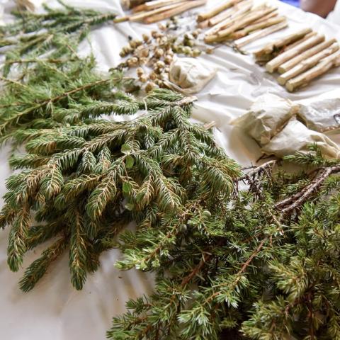 Traditional medicines on a table