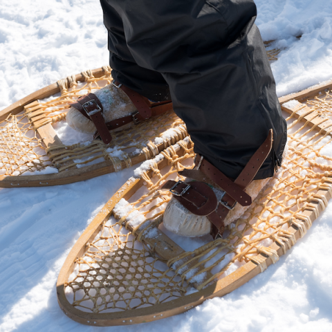 Closeup of snowshoes