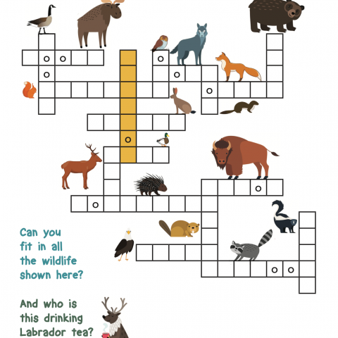wildlife puzzle