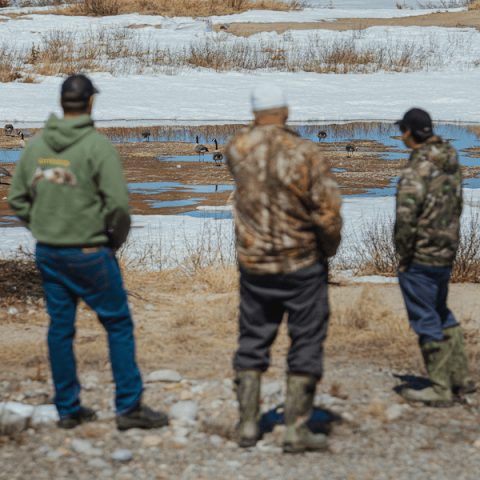 3 hunters looking at goose decoys