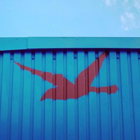 Mural of a flying goose on a wall